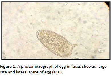 biomarkers-photomicrograph-faces-large