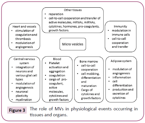 biomarkers-physiological-events