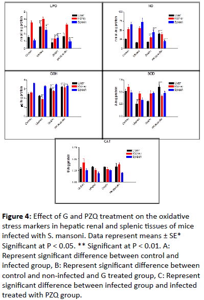 biomarkers-renal-splenic-tissues