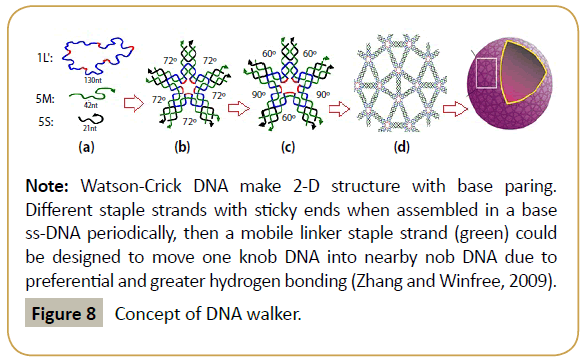 biomedicine-Concept-DNA-walker