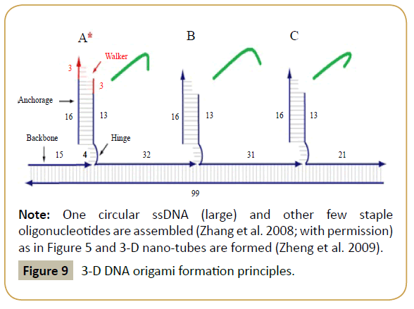biomedicine-DNA-origami-formation-principles