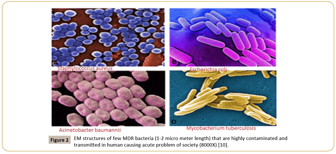 biomedicine-MDR-bacteria