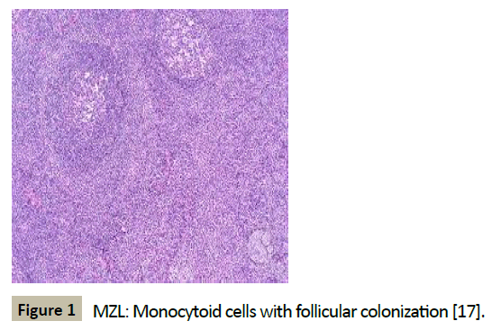 biomedicine-Monocytoid-cells