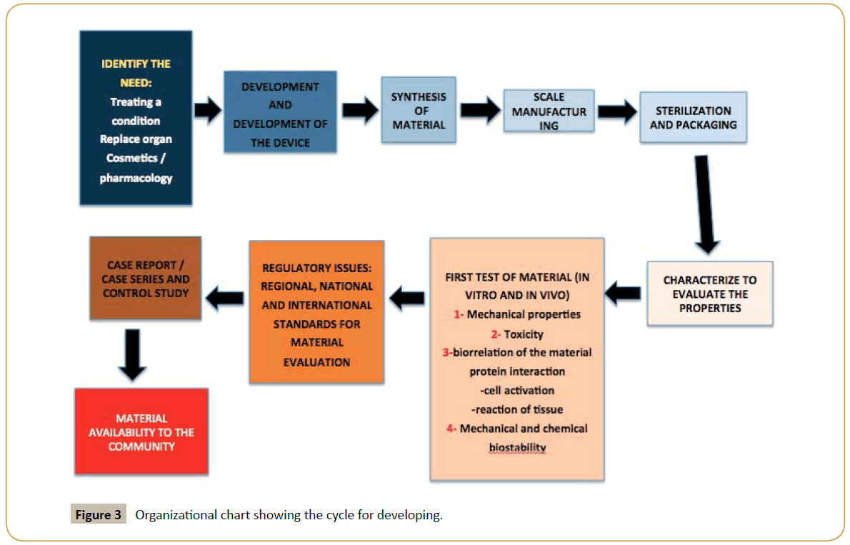 biomedicine-Organizational-chart