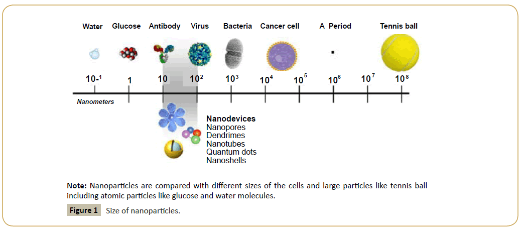 biomedicine-Size-nanoparticles
