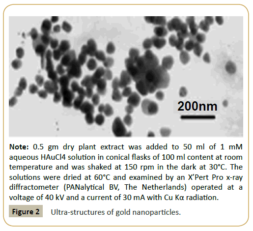 biomedicine-Ultra-structures-gold-nanoparticles