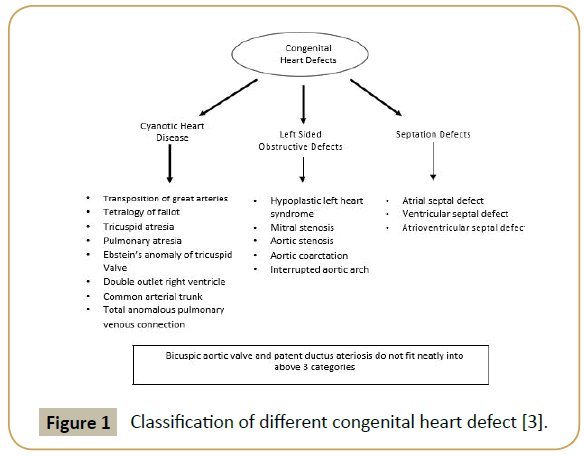 biomedicine-congenital-heart
