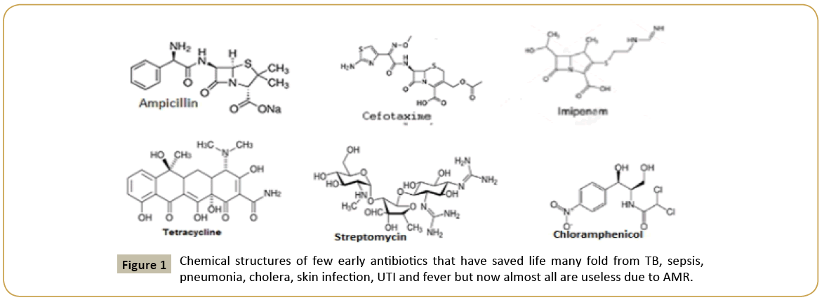 biomedicine-early-antibiotics