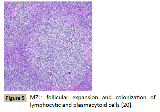 biomedicine-follicular-expansion