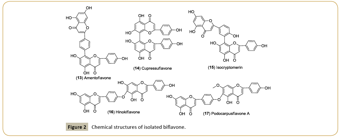 biomedicine-isolated-biflavone