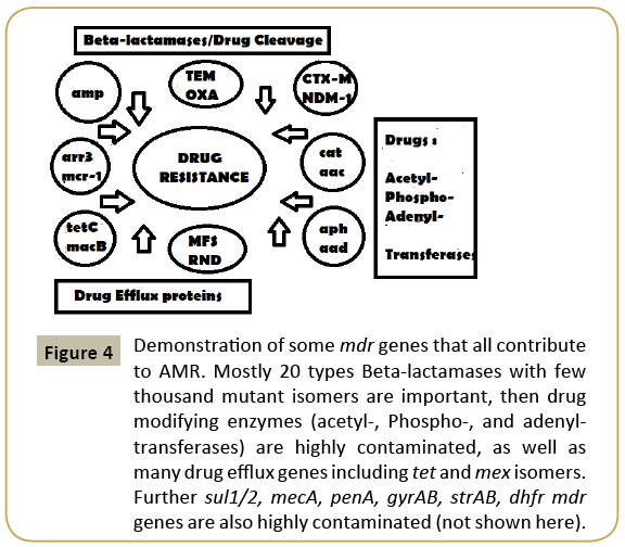 biomedicine-mdr-genes