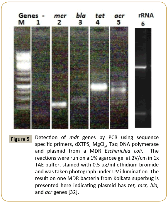 biomedicine-mdr-genes