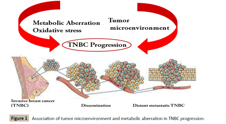 biomedicine-metabolic-aberration