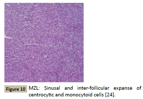 biomedicine-monocytoid-cells