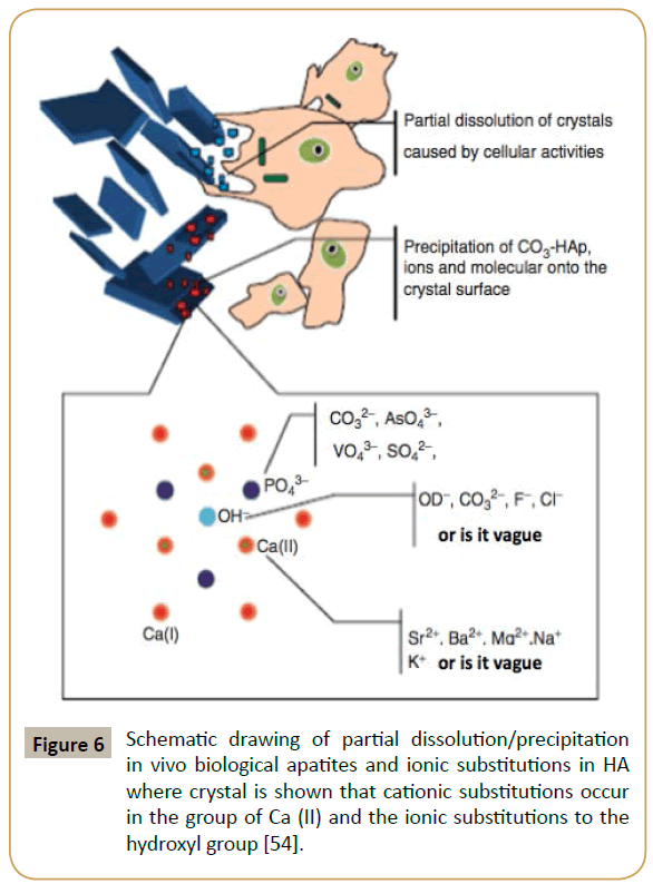 biomedicine-partial-dissolution