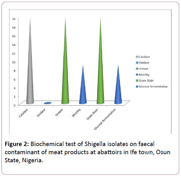 british-journal-Shigella-isolates-faecal