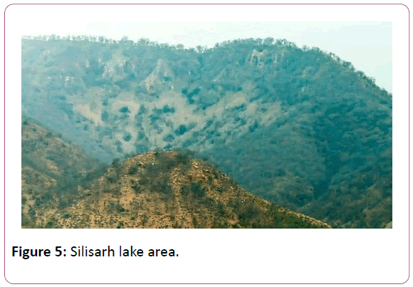 british-journal-Silisarh-lake-area