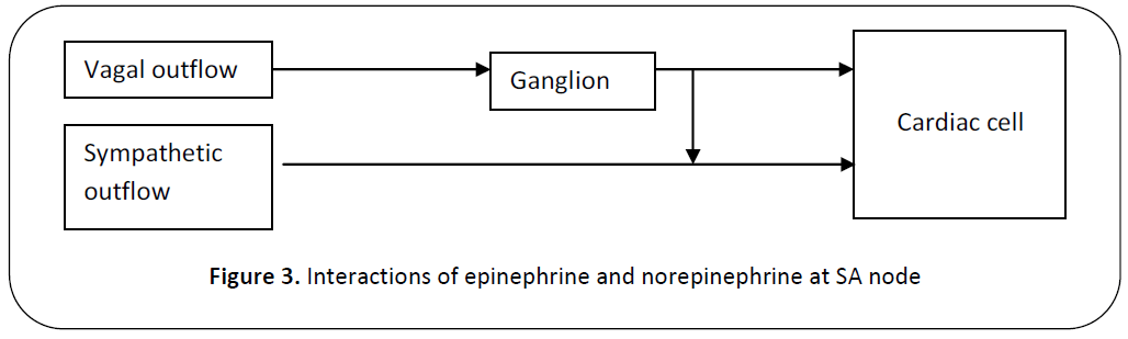british-journal-epinephrine-norepinephrine