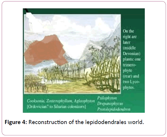 british-journal-lepidodendrales-world