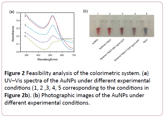 british-journal-of-research-Feasibility-analysis