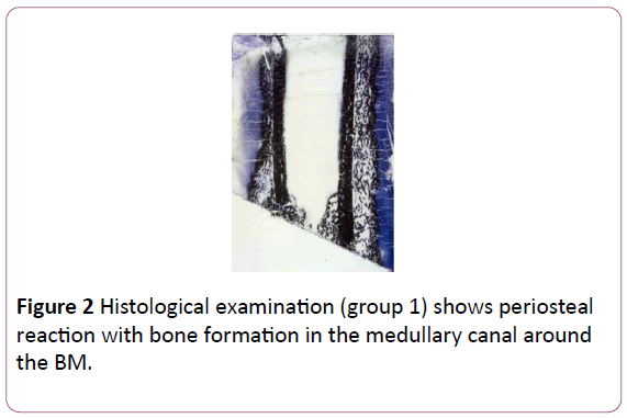 british-journal-of-research-Histological-examination