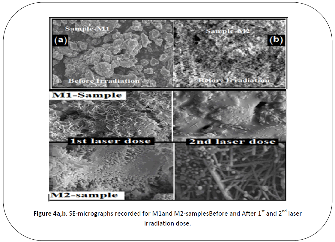 british-journal-of-research-SE-micrographs