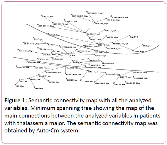 british-journal-of-research-Semantic-connectivity