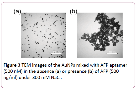 british-journal-of-research-TEM-images