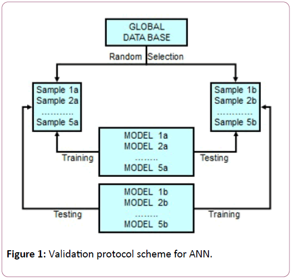 british-journal-of-research-protocol-scheme