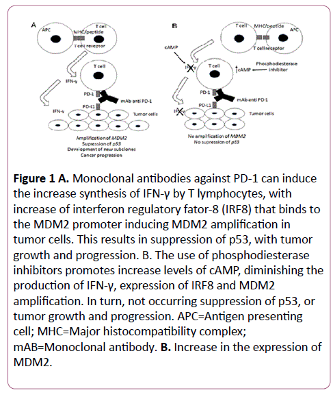 cancer-epidemiology-prevention-Monoclonal-antibodies