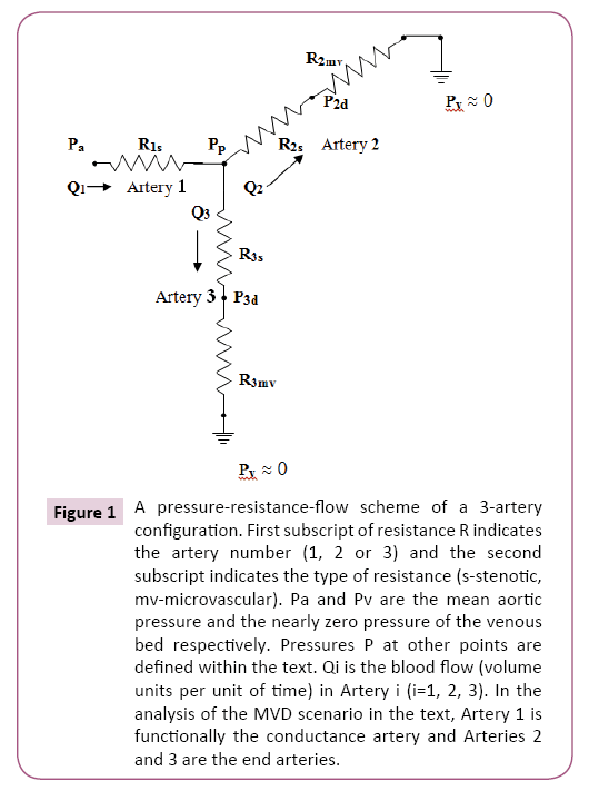 cardiovascular-investigations-pressure-resistance-flow