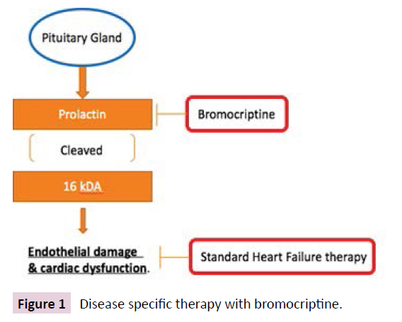 cardiovascular-investigations-specific-therapy