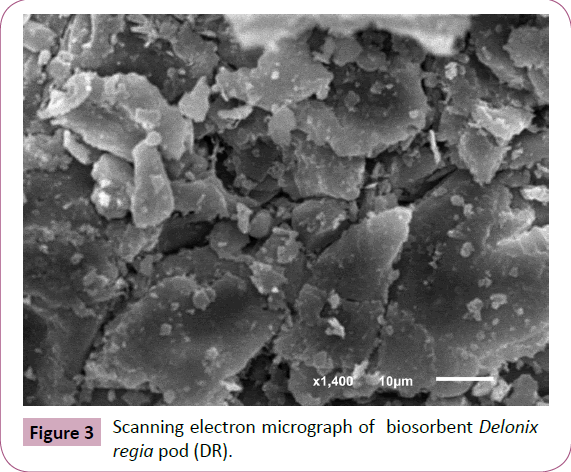 chemical-research-Scanning-electron