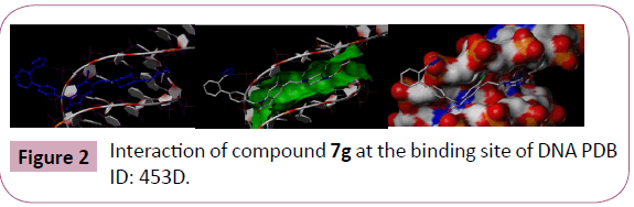 chemical-research-binding-site