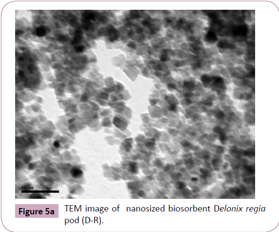 chemical-research-nanosized-biosorbent