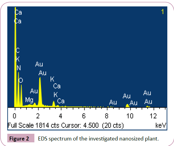 chemical-research-nanosized-plant