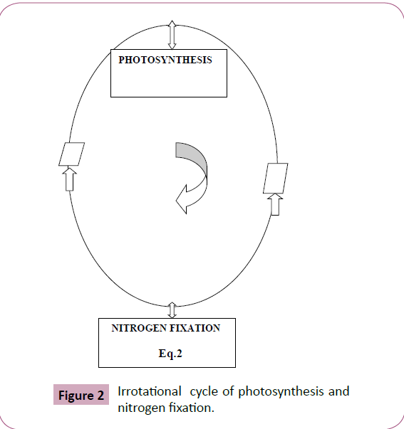 chemical-research-nitrogen-fixation