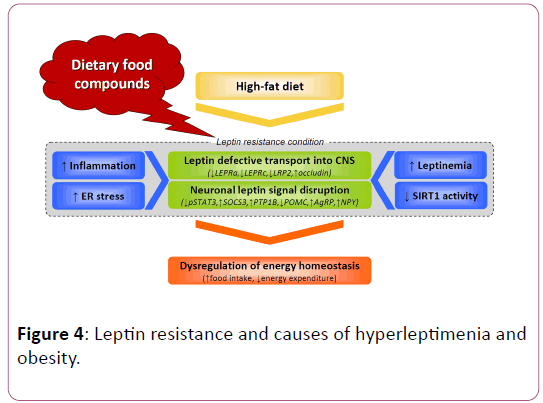 childhood-obesity-hyperleptimenia