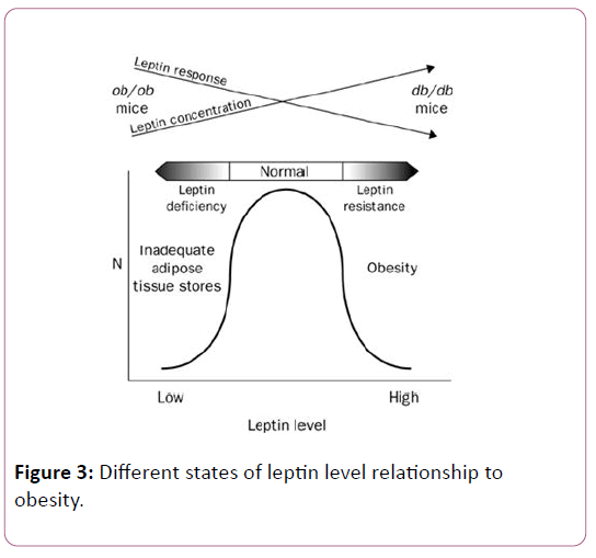 childhood-obesity-leptin-level