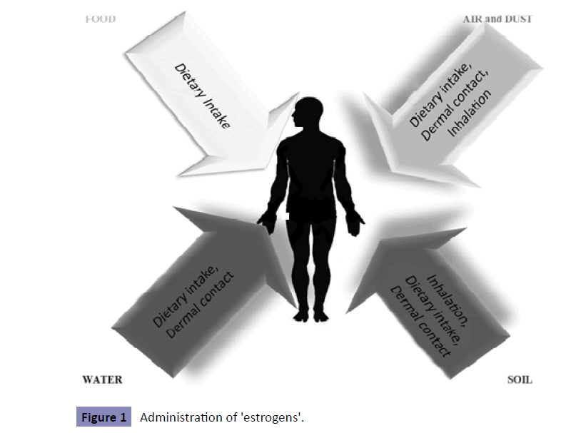 clinical-epigenetics-Administration