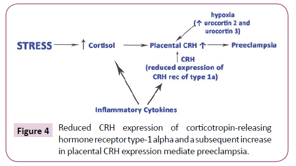 clinical-epigenetics-CRH-expression