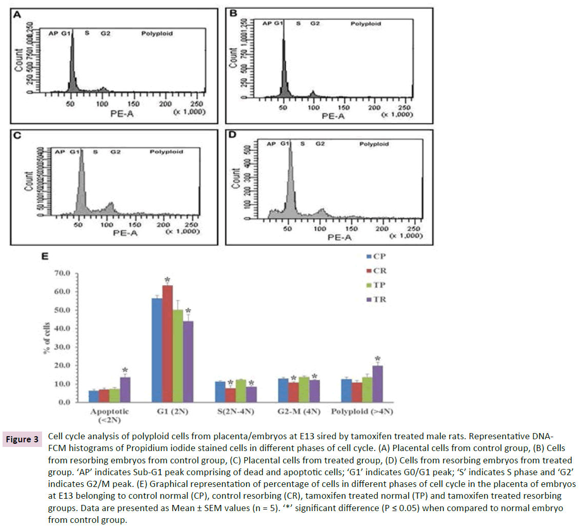 clinical-epigenetics-Cell-cycle-analysis