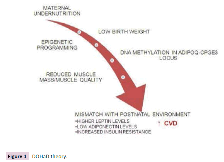 clinical-epigenetics-DOHaD-theory