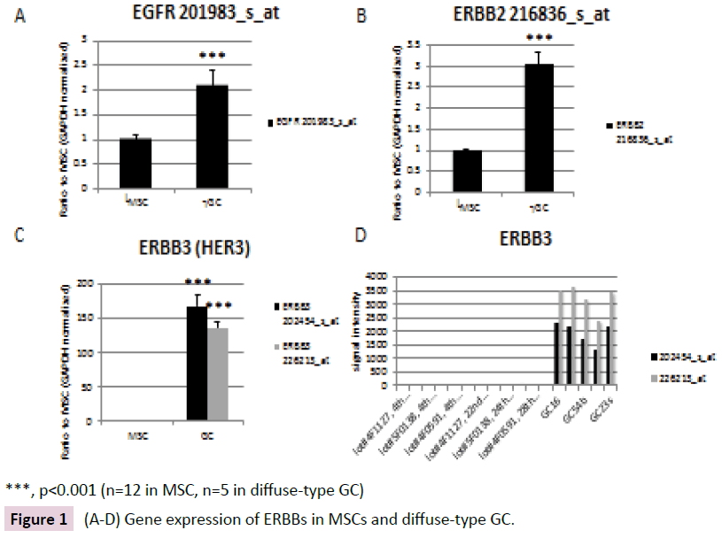 clinical-epigenetics-Gene-expression-ERBBs