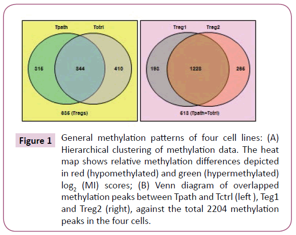 clinical-epigenetics-General-methylation