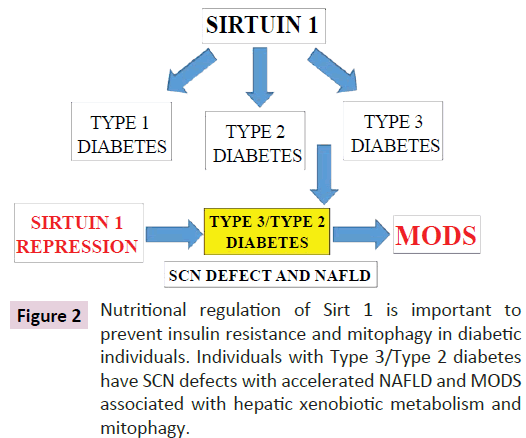 clinical-epigenetics-Nutritional-regulation