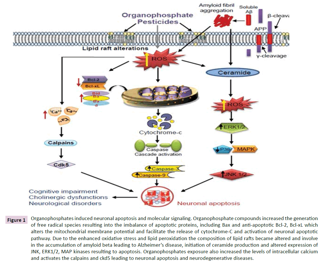 clinical-epigenetics-Organophosphates-induced