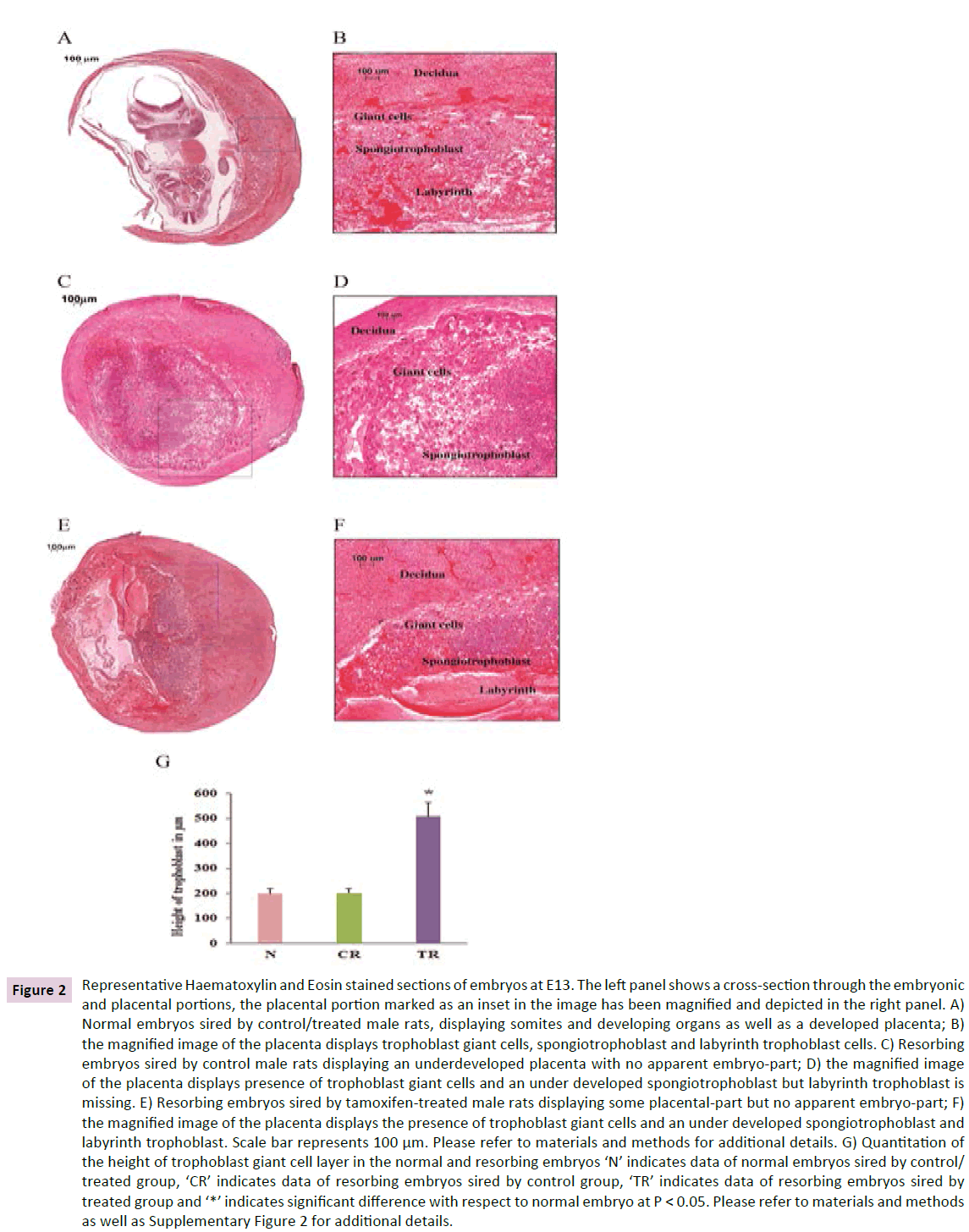 clinical-epigenetics-Representative-Haematoxylin