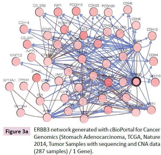 clinical-epigenetics-Stomach-Adenocarcinoma