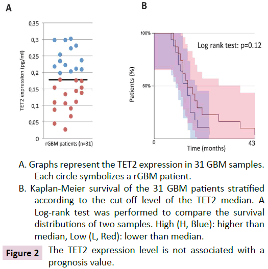 clinical-epigenetics-TET2-expression-level